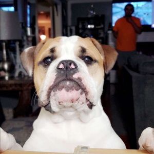 Meet your Posher, Jimmy